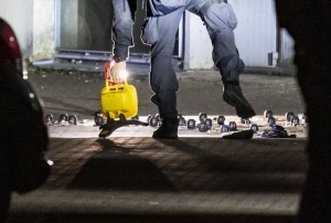 280 personer pågrepet i internasjonal politiaksjon mot bestillingsvold